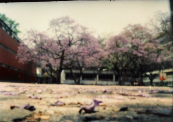 pinhole